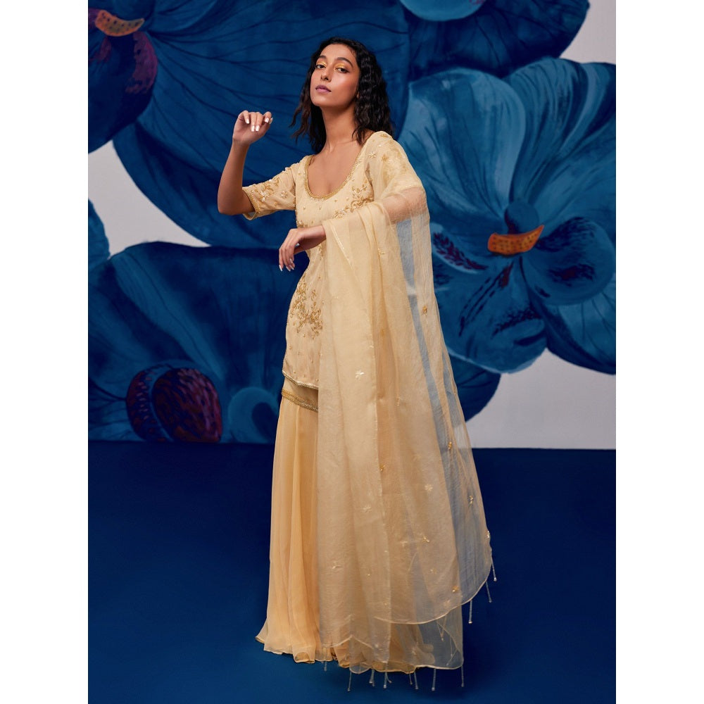 Zoon Golden Embroidery Kurti with Sharara and Dupatta (Set of 3)