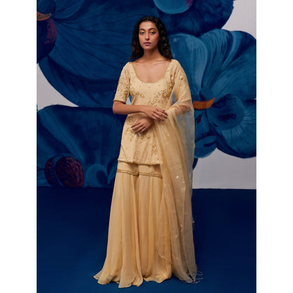 Zoon Golden Embroidery Kurti with Sharara and Dupatta (Set of 3)