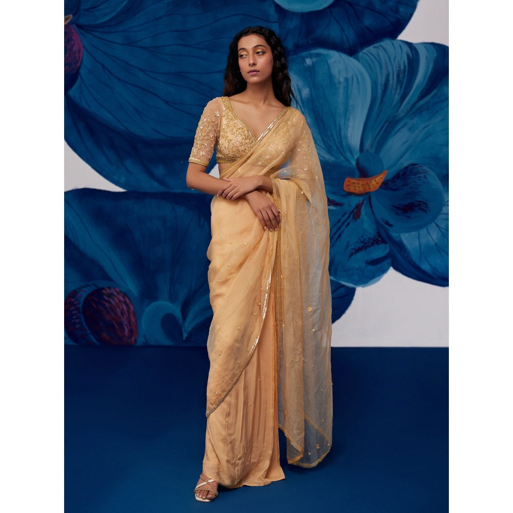 Zoon Golden Pre-Draped Hand Embroidered-Sequined Saree with Stitched Blouse