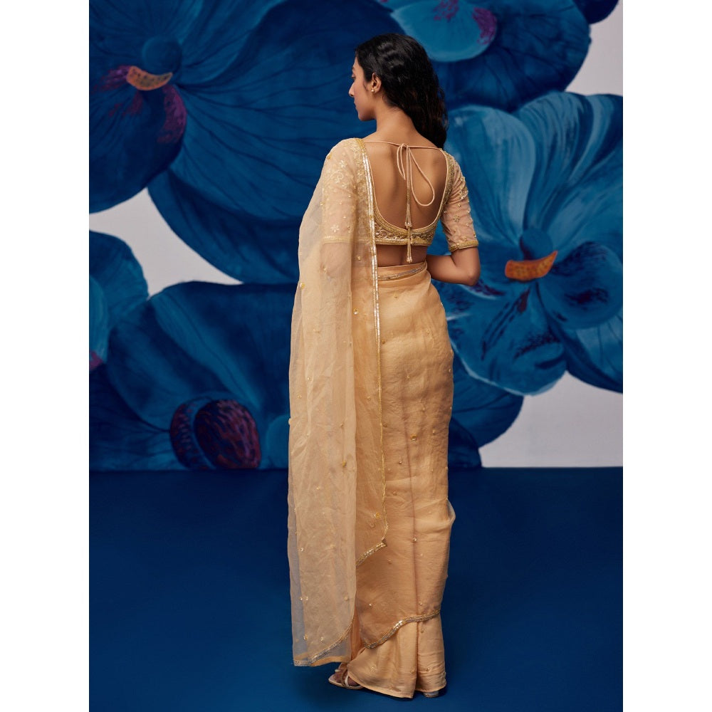Zoon Golden Pre-Draped Hand Embroidered-Sequined Saree with Stitched Blouse