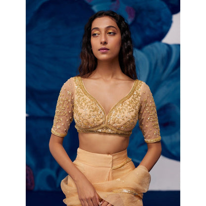 Zoon Golden Pre-Draped Hand Embroidered-Sequined Saree with Stitched Blouse