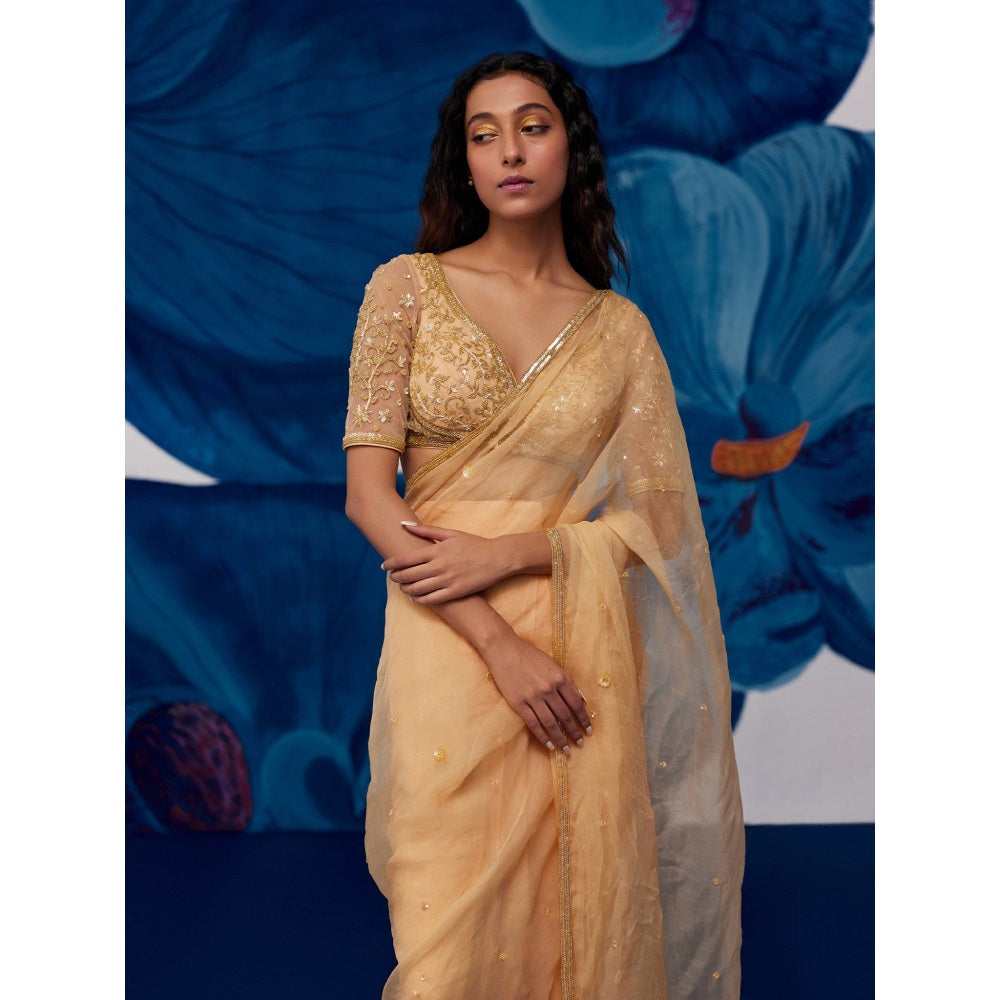 Zoon Golden Pre-Draped Hand Embroidered-Sequined Saree with Stitched Blouse