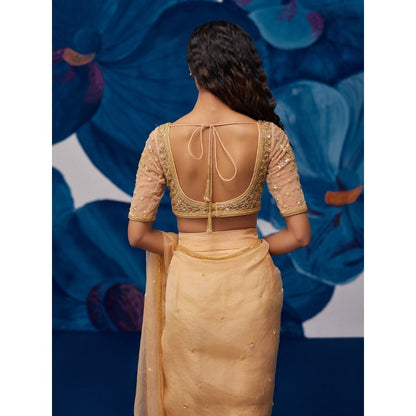 Zoon Golden Pre-Draped Hand Embroidered-Sequined Saree with Stitched Blouse