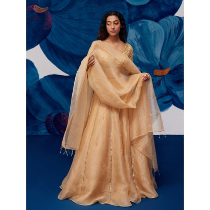 Zoon Gold Hand Embroidered-Sequined Lehenga with Blouse and Dupatta (Set of 3)