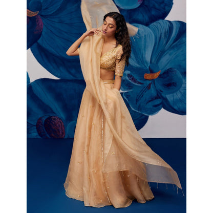Zoon Gold Hand Embroidered-Sequined Lehenga with Blouse and Dupatta (Set of 3)