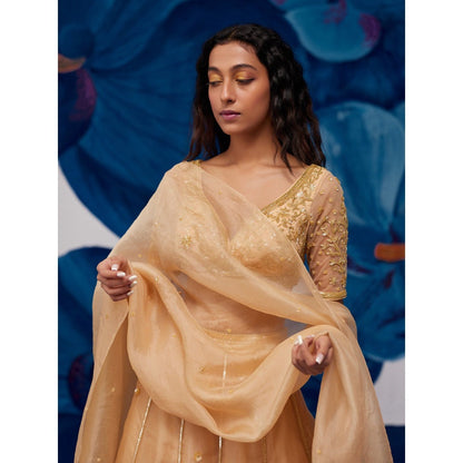 Zoon Gold Hand Embroidered-Sequined Lehenga with Blouse and Dupatta (Set of 3)