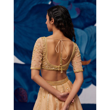 Zoon Gold Hand Embroidered-Sequined Lehenga with Blouse and Dupatta (Set of 3)