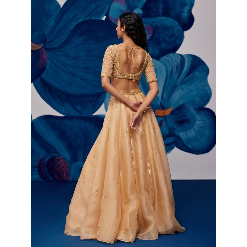 Zoon Gold Hand Embroidered-Sequined Lehenga with Blouse and Dupatta (Set of 3)