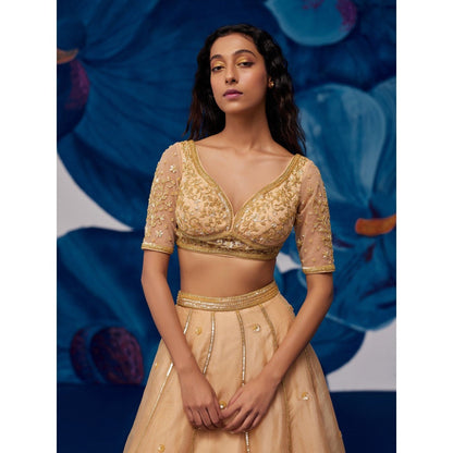 Zoon Gold Hand Embroidered-Sequined Lehenga with Blouse and Dupatta (Set of 3)