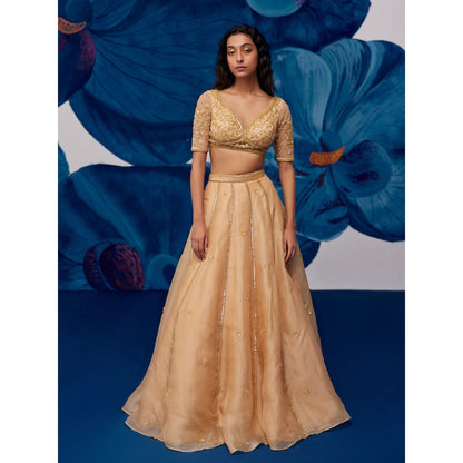Zoon Gold Hand Embroidered-Sequined Lehenga with Blouse and Dupatta (Set of 3)