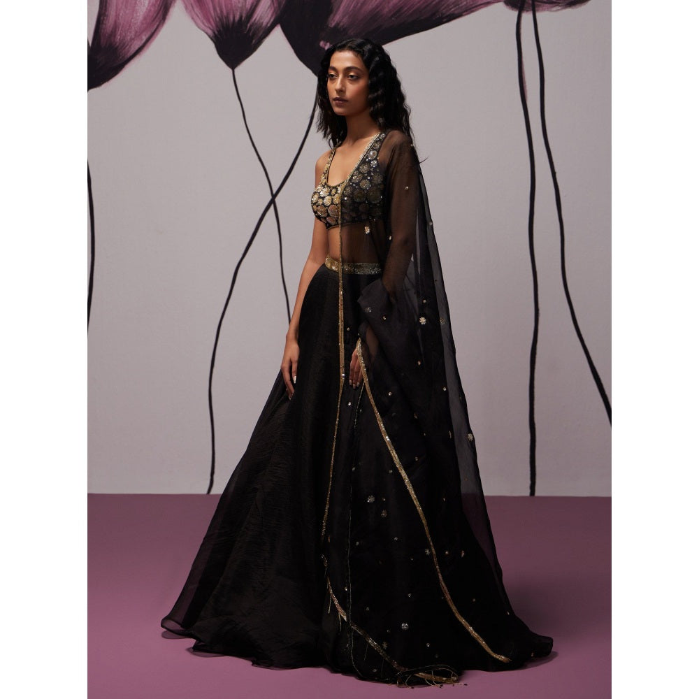 Zoon Black Embellished-Sequined Lehenga with Blouse and Dupatta (Set of 3)