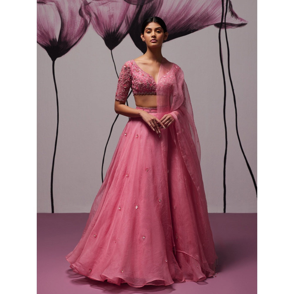 Zoon Pink Embroidered-Sequined Lehenga with Blouse and Dupatta (Set of 3)