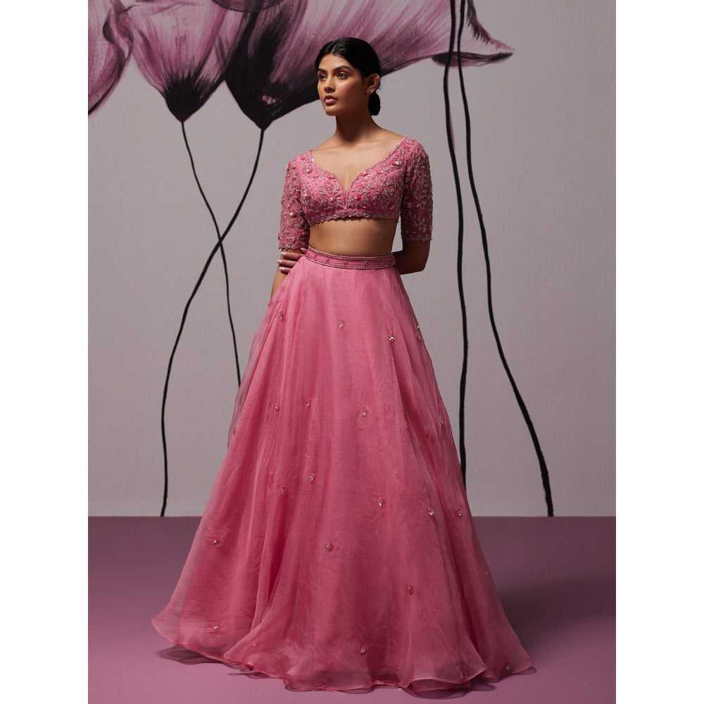 Zoon Pink Embroidered-Sequined Lehenga with Blouse and Dupatta (Set of 3)