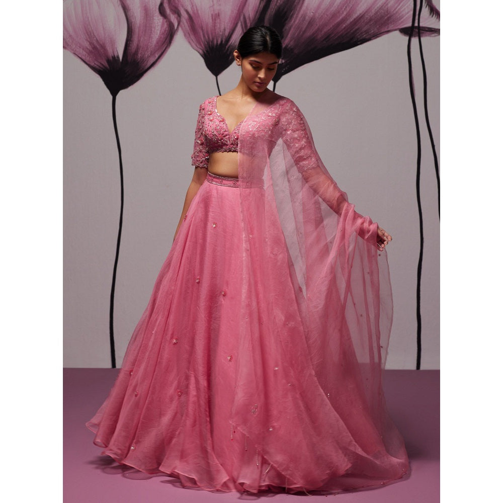 Zoon Pink Embroidered-Sequined Lehenga with Blouse and Dupatta (Set of 3)