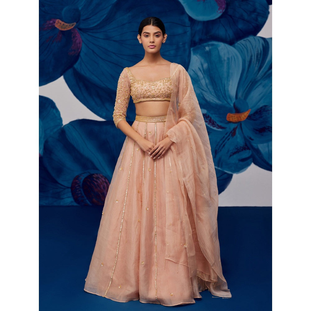 Zoon Rose Gold Embroidered-Sequined Kalidar Lehenga with Blouse and Dupatta (Set of 3)