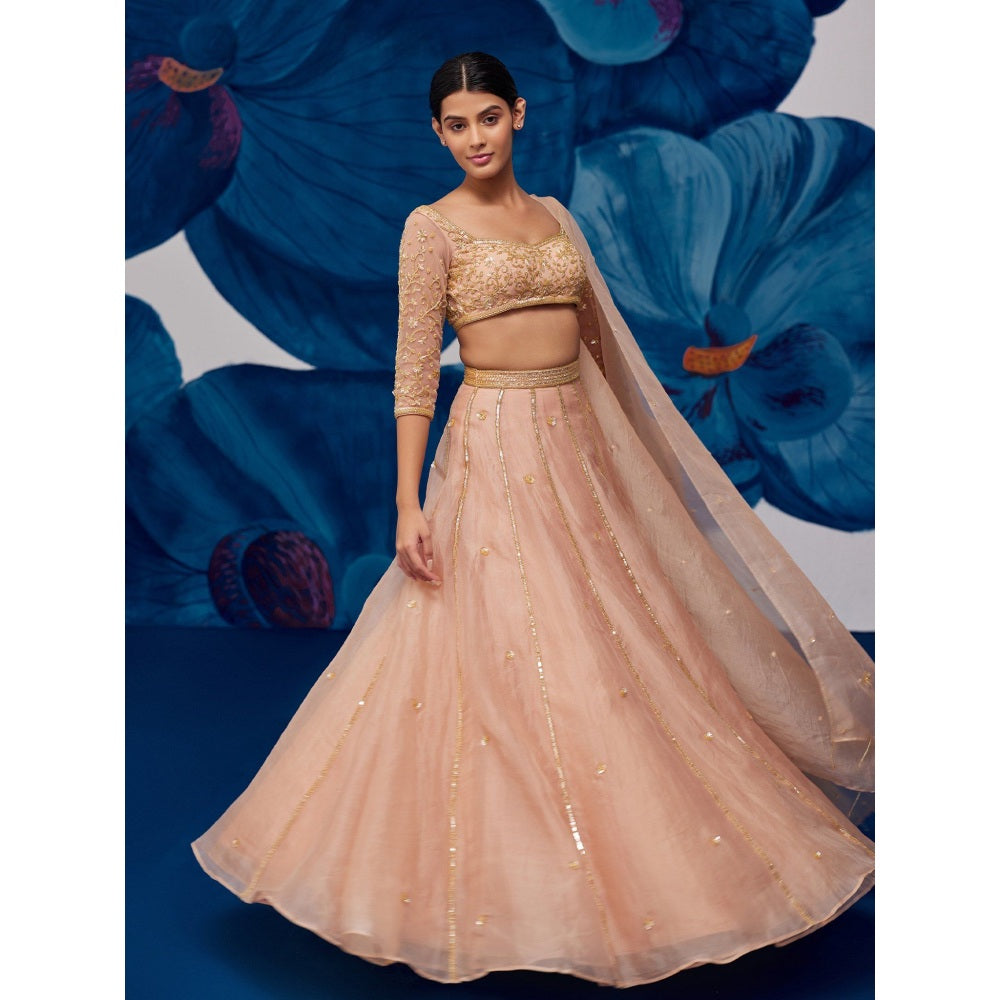 Zoon Rose Gold Embroidered-Sequined Kalidar Lehenga with Blouse and Dupatta (Set of 3)