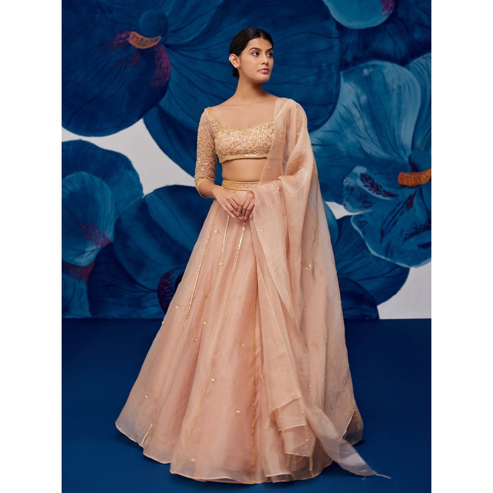 Zoon Rose Gold Embroidered-Sequined Kalidar Lehenga with Blouse and Dupatta (Set of 3)