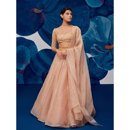 Zoon Rose Gold Embroidered-Sequined Kalidar Lehenga with Blouse and Dupatta (Set of 3)