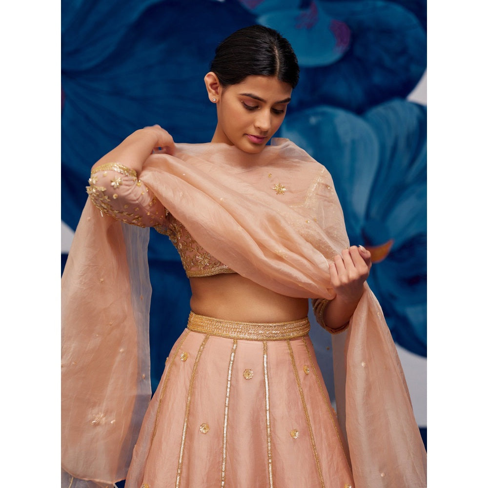 Zoon Rose Gold Embroidered-Sequined Kalidar Lehenga with Blouse and Dupatta (Set of 3)