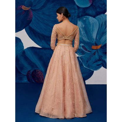 Zoon Rose Gold Embroidered-Sequined Kalidar Lehenga with Blouse and Dupatta (Set of 3)
