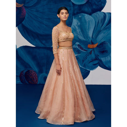 Zoon Rose Gold Embroidered-Sequined Kalidar Lehenga with Blouse and Dupatta (Set of 3)