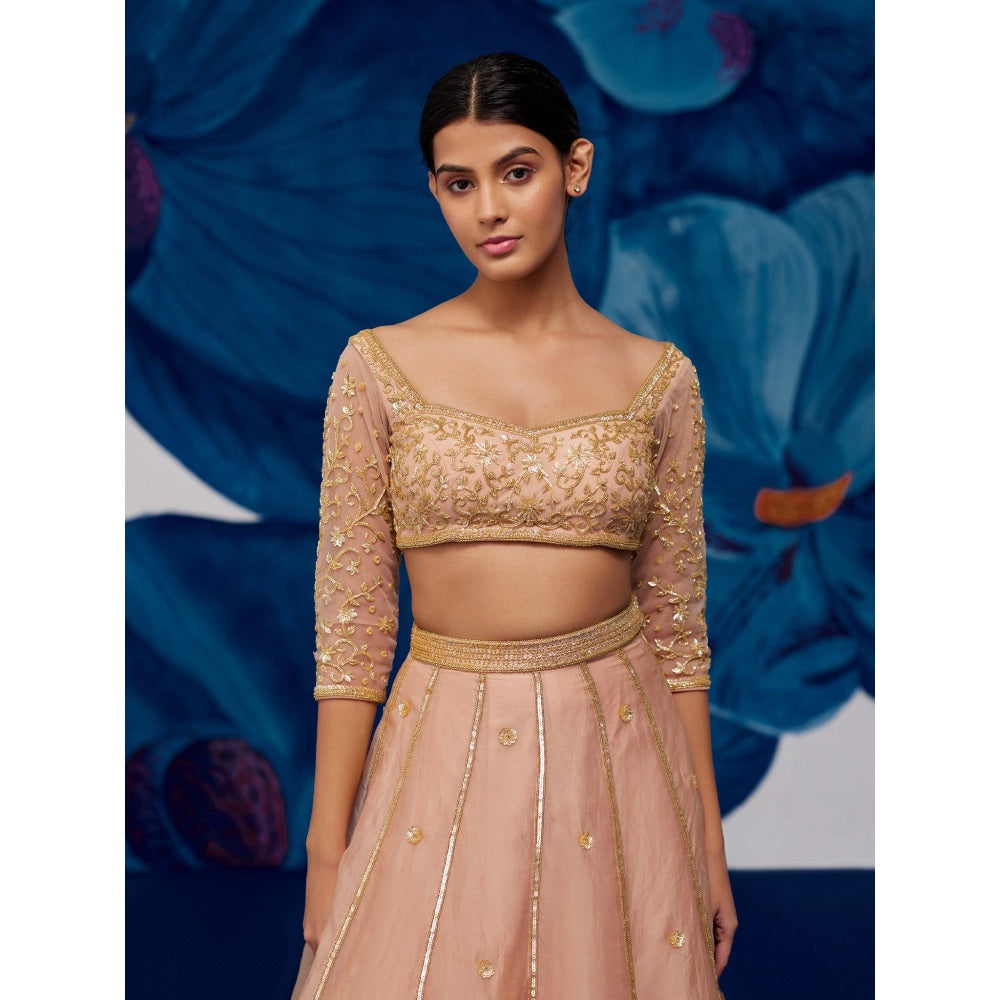Zoon Rose Gold Embroidered-Sequined Kalidar Lehenga with Blouse and Dupatta (Set of 3)