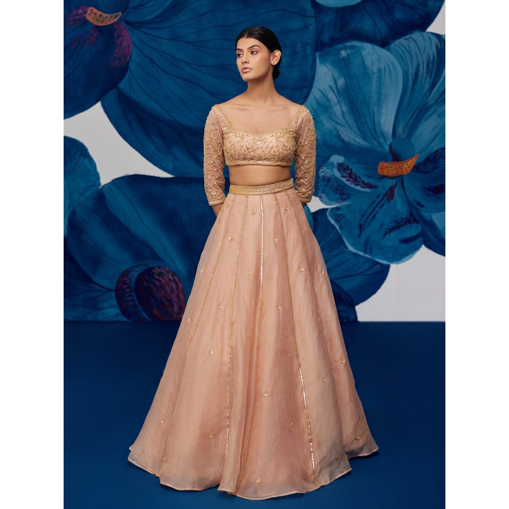 Zoon Rose Gold Embroidered-Sequined Kalidar Lehenga with Blouse and Dupatta (Set of 3)