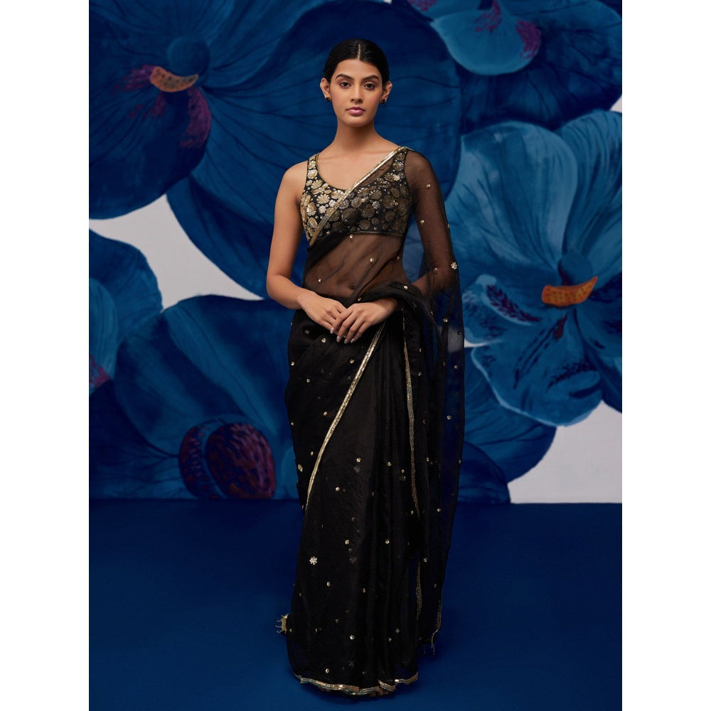 Zoon A Black Saree with A Matching intricate Aari Hand Embroidery Stitched Blouse