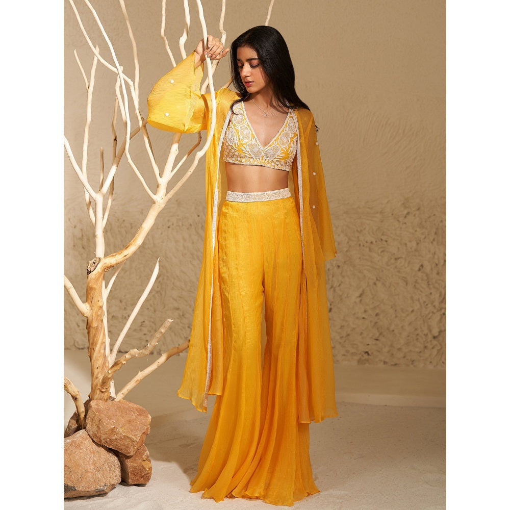 Zoon Yellow Jacket Paired with Embroidered Blouse and Sharara (Set of 3)