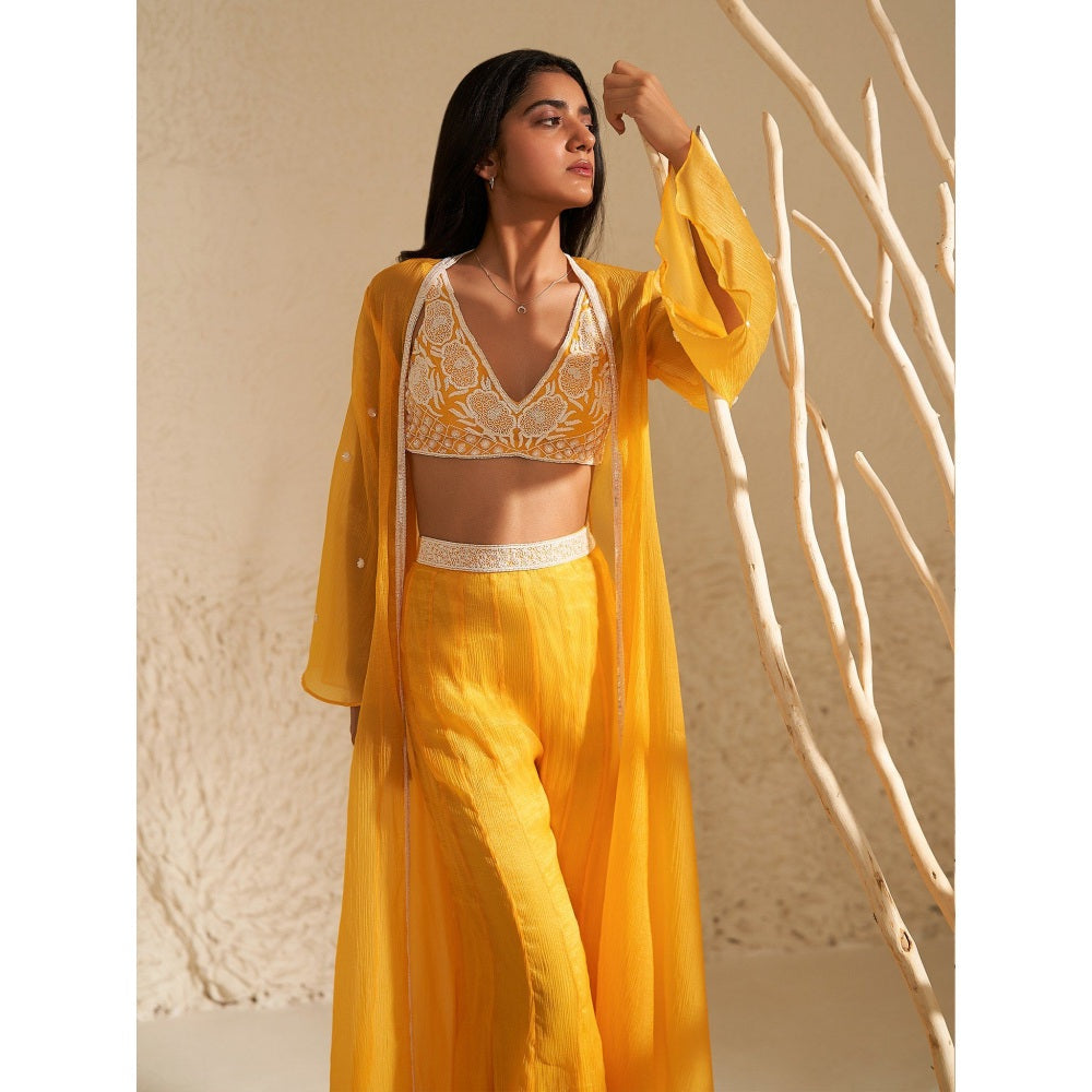 Zoon Yellow Jacket Paired with Embroidered Blouse and Sharara (Set of 3)