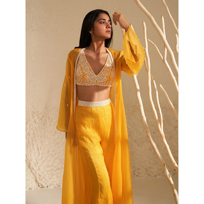 Zoon Yellow Jacket Paired with Embroidered Blouse and Sharara (Set of 3)