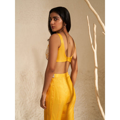Zoon Yellow Jacket Paired with Embroidered Blouse and Sharara (Set of 3)