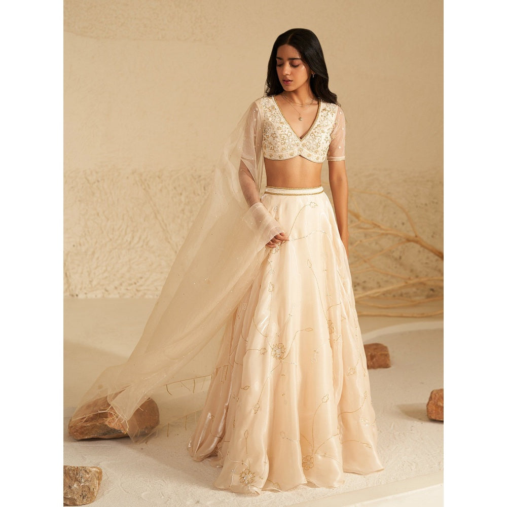 Zoon Off White Embroidered Lehenga with Blouse and Dupatta (Set of 3)