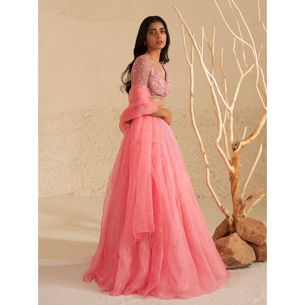 Zoon Blush Pink Embroidered-Sequined Lehenga with Blouse and Dupatta (Set of 3)