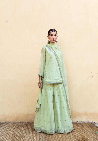 Hoor Pista Sharara Set