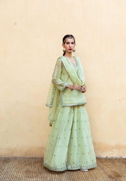 Hoor Pista Sharara Set