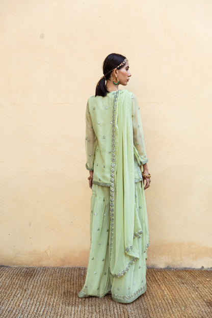 Hoor Pista Sharara Set