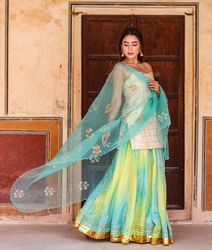 Devaki Blue Lehenga Set