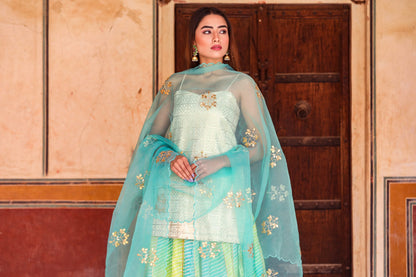 Devaki Blue Lehenga Set