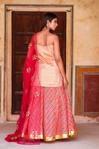 Devaki Pink Lehenga Set