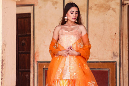 Devaki Orange Lehenga Set