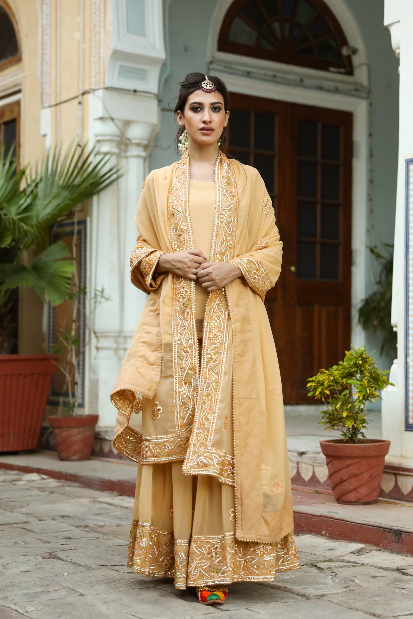 Afroz Beige Sharara Set