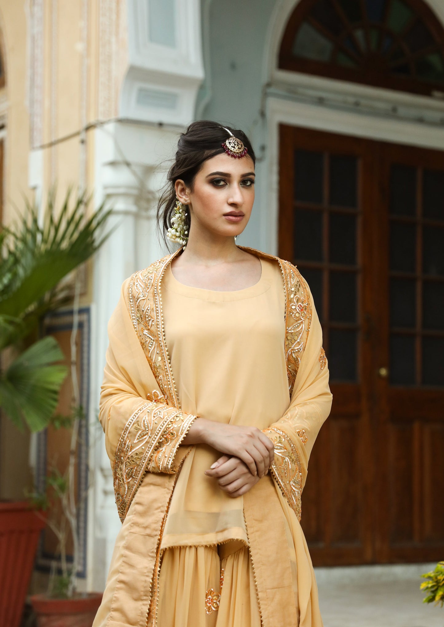 Afroz Beige Sharara Set