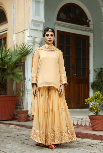 Afroz Beige Sharara Set