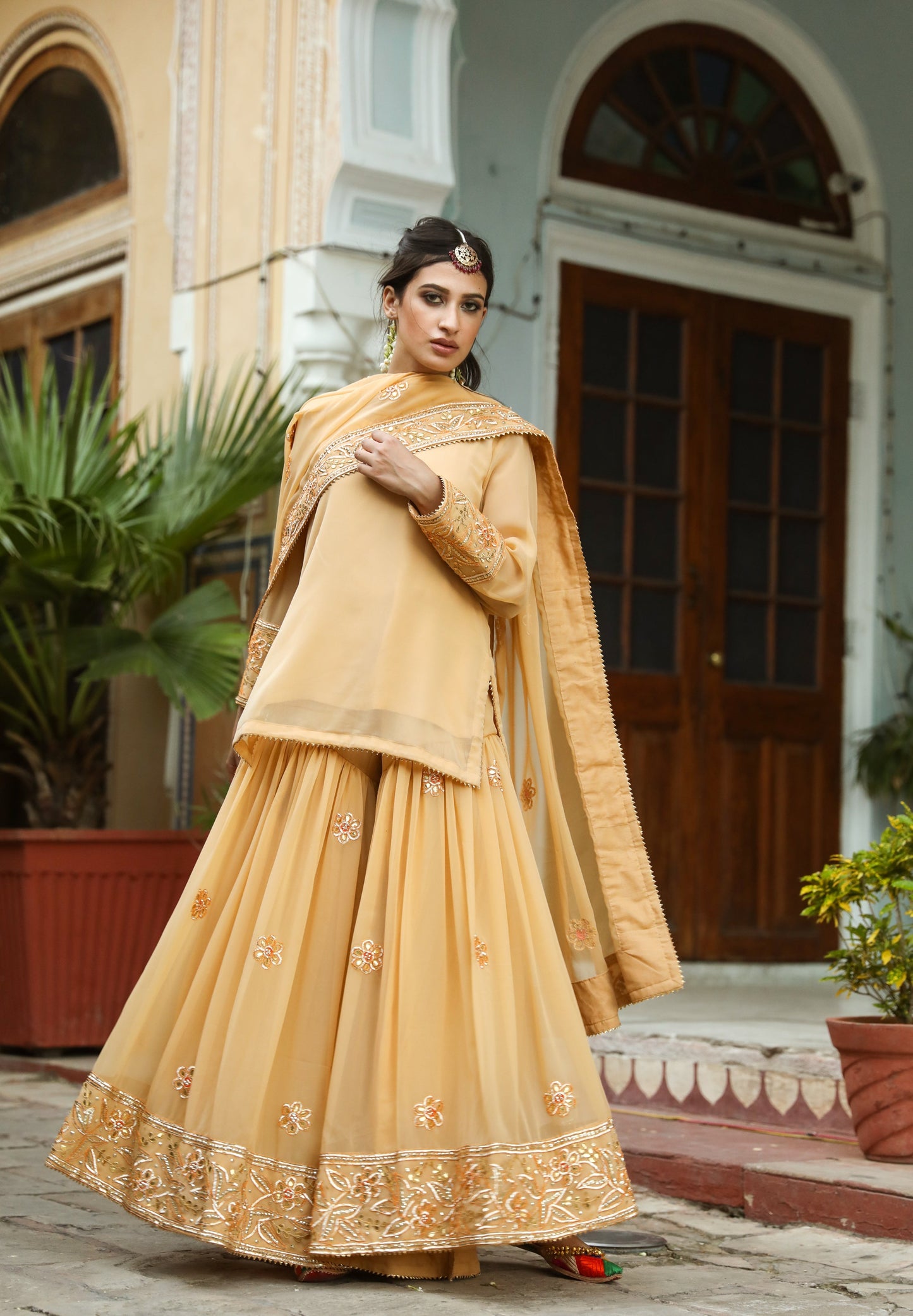 Afroz Beige Sharara Set