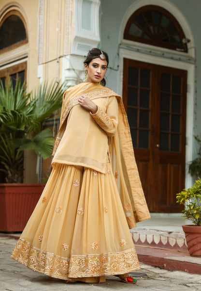Afroz Beige Sharara Set