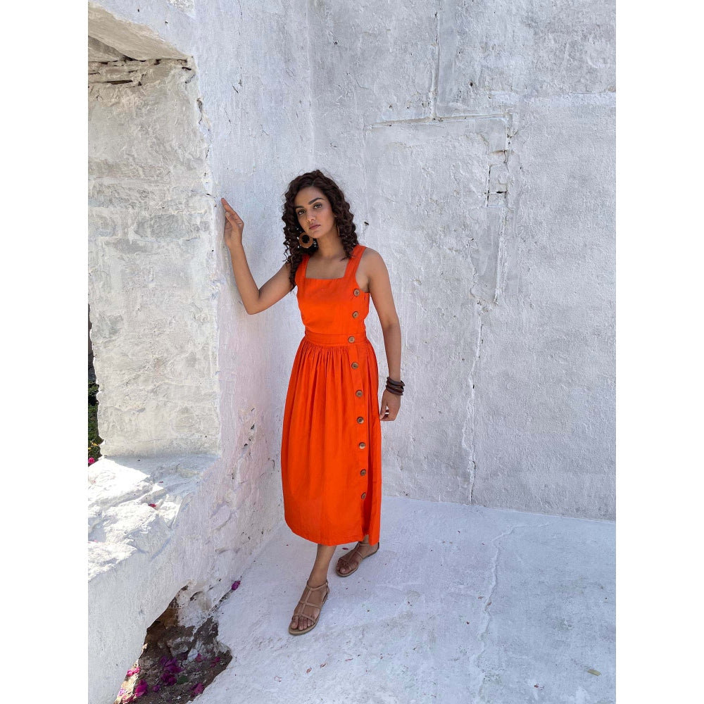 AlterEGO Button Down Orange Midi