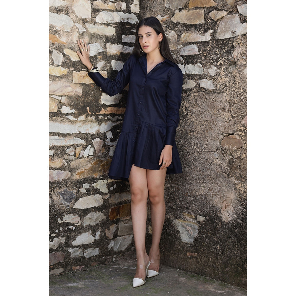 AlterEGO The Classic Pleated Shirt Dress