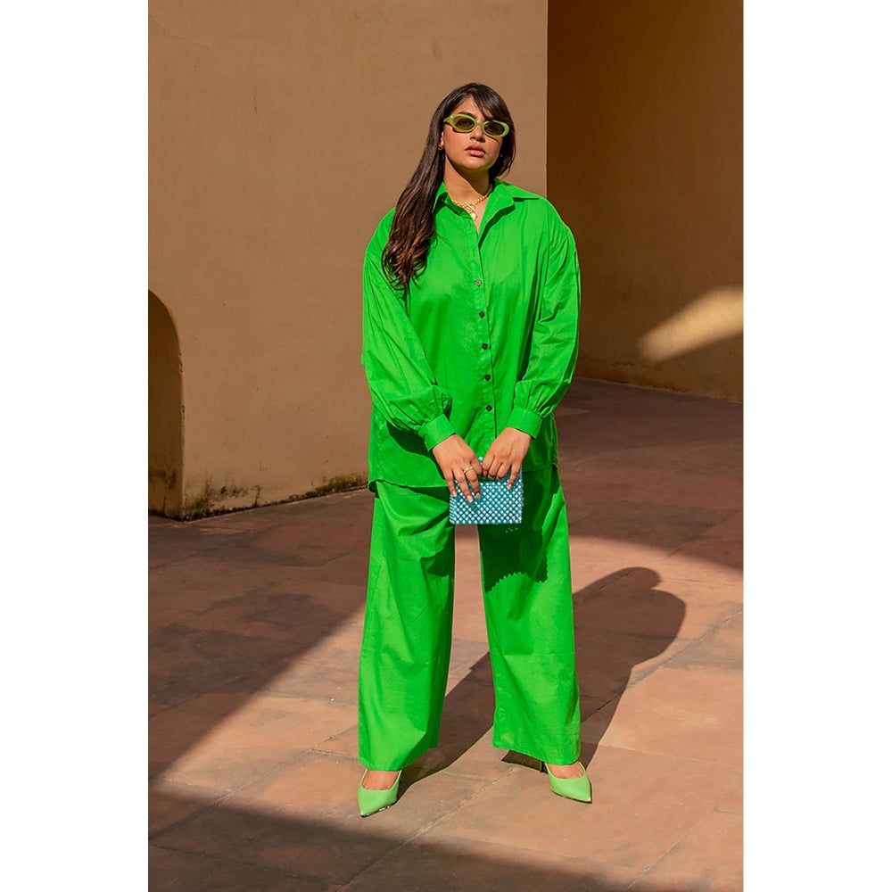 AlterEGO Autumn - Parrot Green Shirt