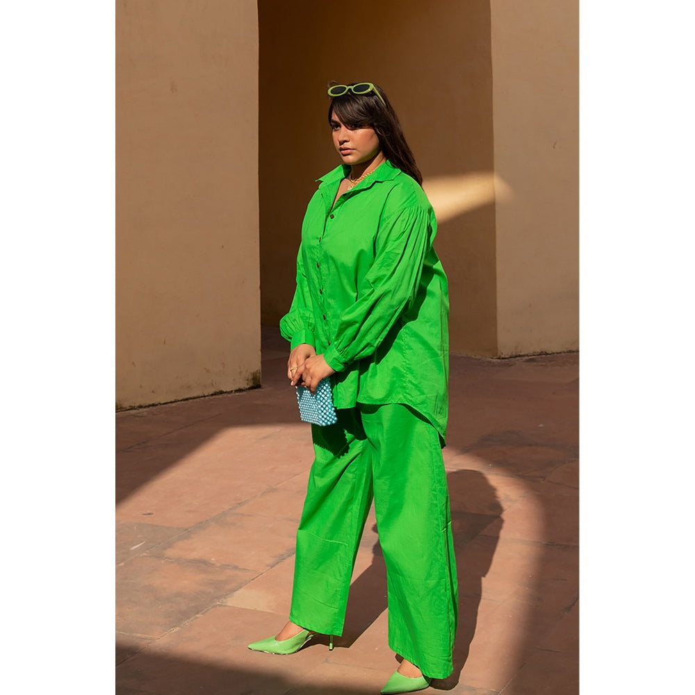 AlterEGO Autumn - Parrot Green Shirt